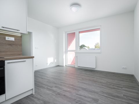 pronájem bytu 2+kk U Kasáren, Dašice