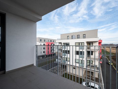 pronájem bytu 3+kk Dašice