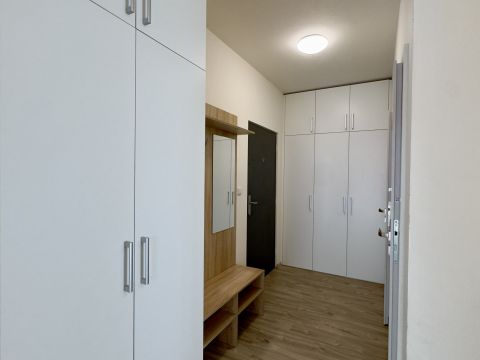 pronajem-bytu-3-kk-s-park-stanim-dasice