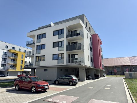 pronajem-bytu-3-kk-s-park-stanim-dasice